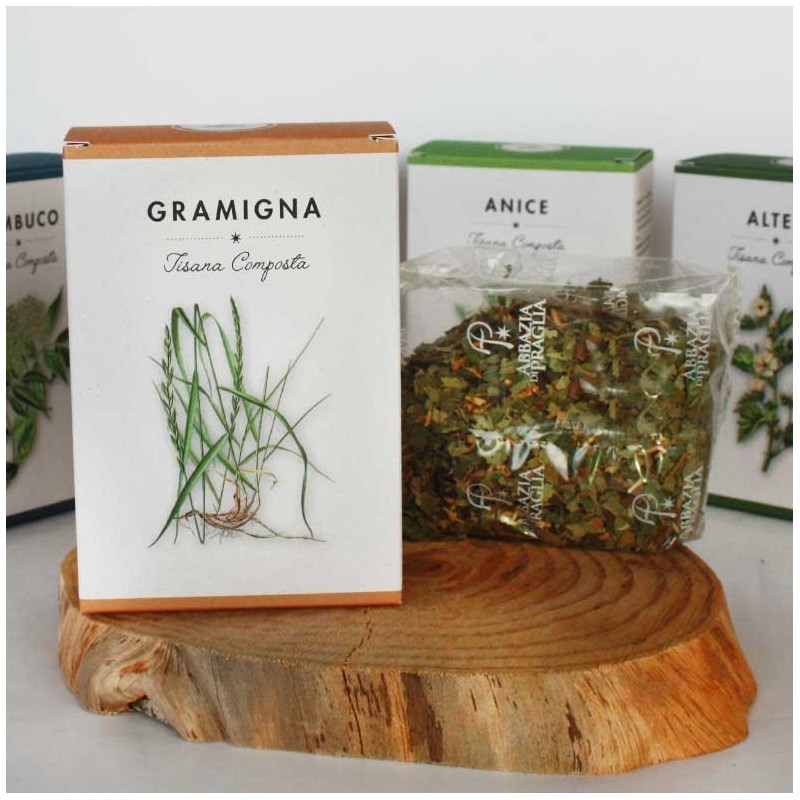 Tisana Gramigna | SaporVita